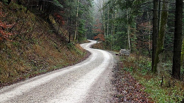 B Tipi orman yolu yaptırılacak