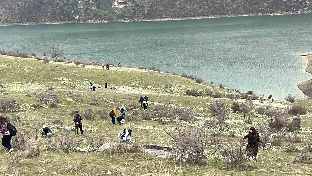 Nergisler doğaseverlerin ilgi odağı oldu
