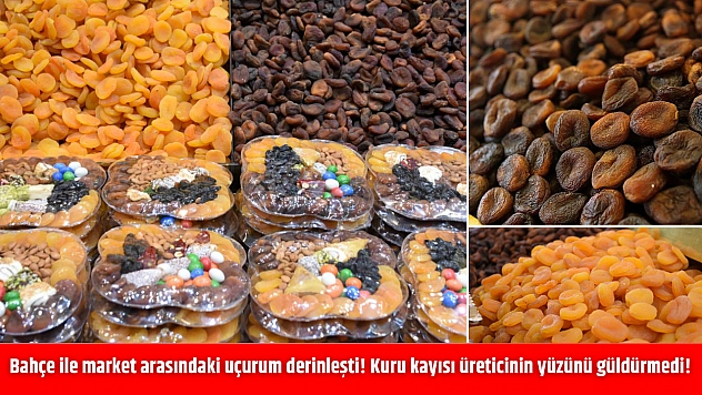 Bahçe ile market arasındaki uçurum derinleşti! Kuru kayısı üreticinin yüzünü güldürmedi!