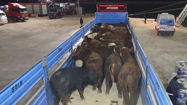 Bakanlık Açıkladı! Belgesi olmayana 7 bin TL ceza kesilecek!!