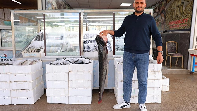 Balık pazarı hareketlendi