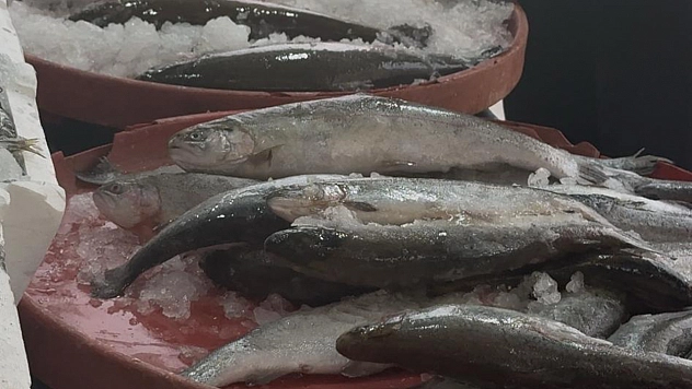 Balığa ilgi arttı: Peki balık fiyatları nasıl? İşte en çok satılan balıklar ve fiyatları...