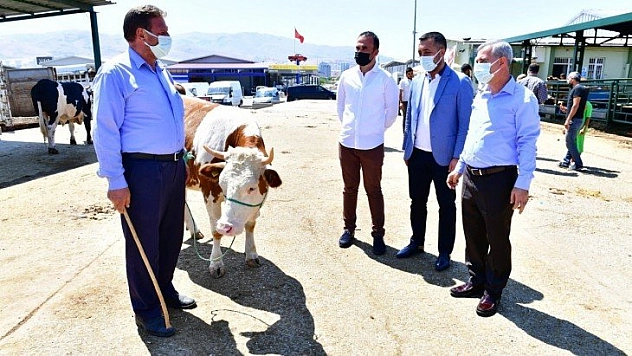 Hayvan pazarını gezdi