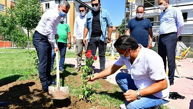 Fideler toprakla buluştu