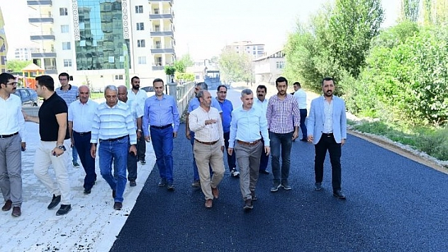 Çınar, çalışmaları inceledi