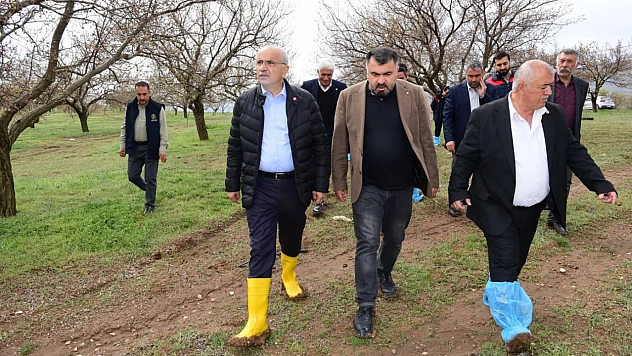 Bu yıl kayısıdan umutluyduk
