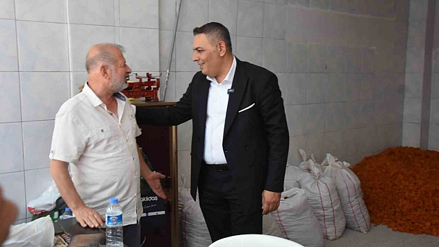 'Sarı Altın' için yeni dönem! Proje hayata geçirilecek