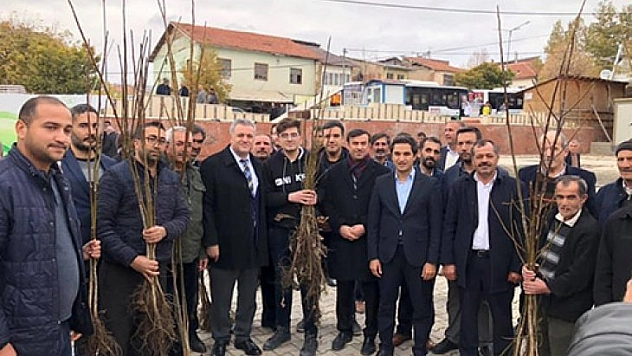 Baskil'de çiftçilere fidan desteği