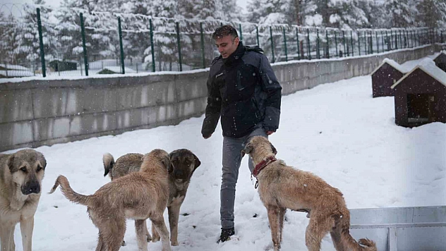 Malatya'nın ikinci hayvan barınağı hizmete açıldı