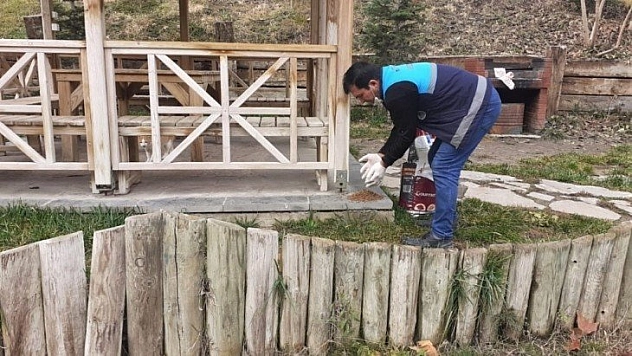 Sokak hayvanları unutulmadı