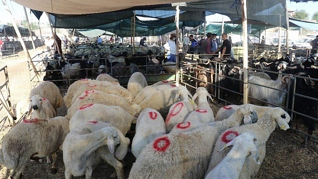 Kurban pazarında yoğunluk