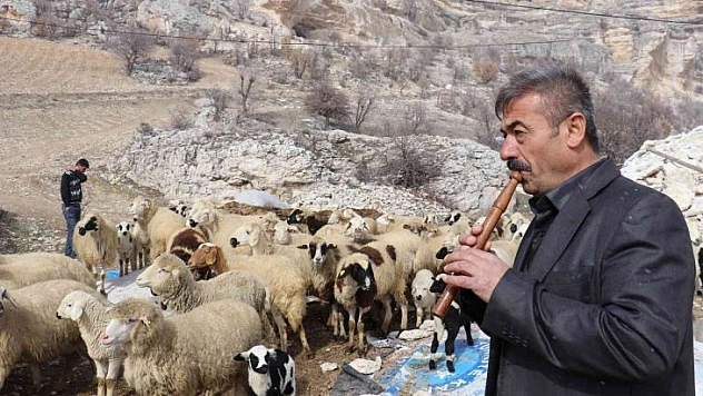 Bin 700 metrede kaval keyfi
