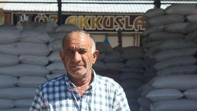 Buğday ucuz