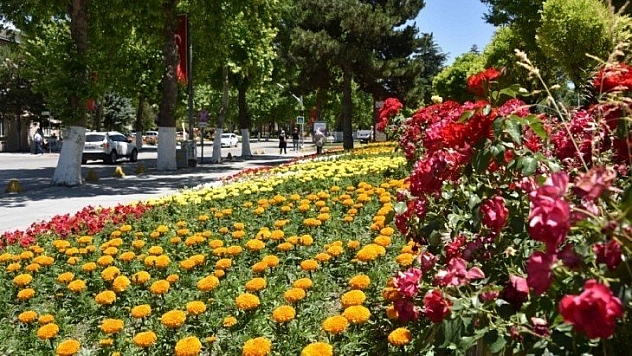 Büyükşehir'den 150 bin çiçek