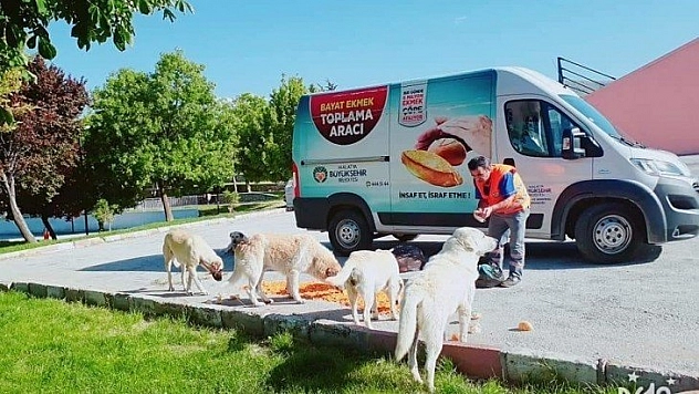 Bu canlılar bizlere emanet