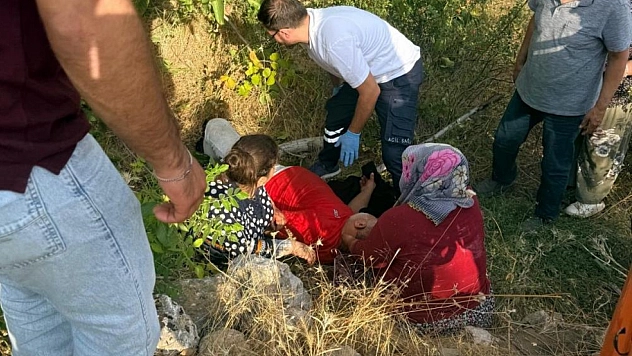 Ceviz toplamak isterken hastanelik oldu