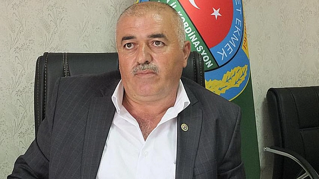 Cevizi soğuk vurdu 