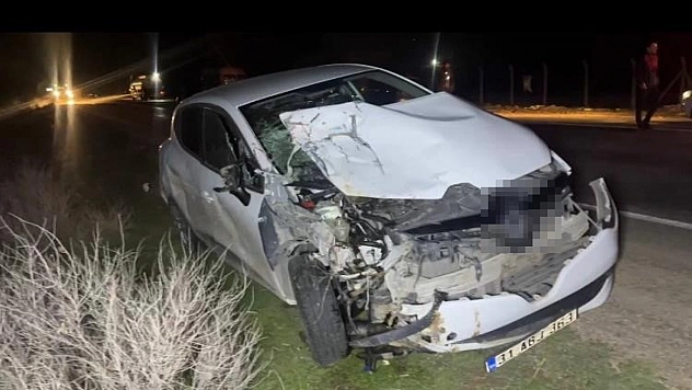 Ceylanpınar'da otomobil, at arabasına çarptı: 2 yaralı