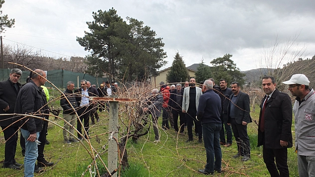Çiftçilere uygulamalı bağ budama eğitimi verildi