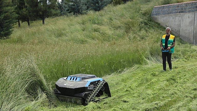 Çim biçme işlerini robotlar yapıyor
