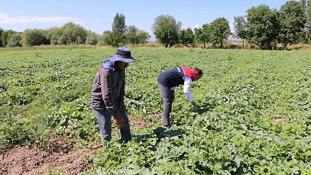 ÇKS başvuruları ne zaman sona erecek?