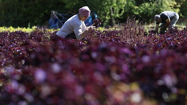 Çocuklardan Malatya'ya 'Düşler Atölyesi' Dokunuşu
