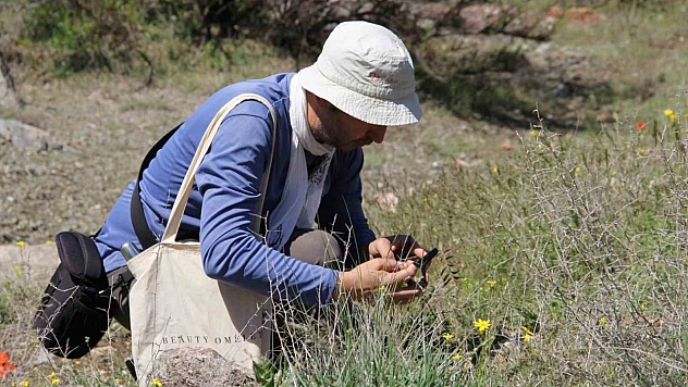 Malatya'da bitki hazinesi kayıt altına alınıyor: Çalışma tamamlandı