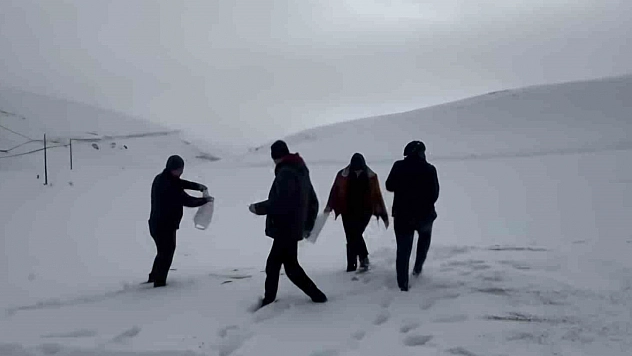 Darende'de yaban hayvanları unutulmadı