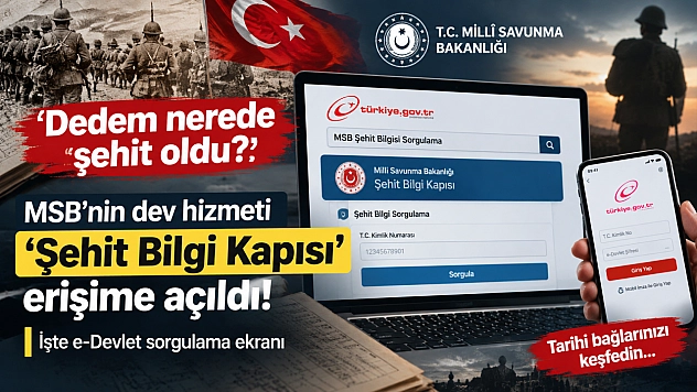 Dedem nerede şehit oldu? MSB'nin dev hizmeti 'Şehit Bilgi Kapısı' erişime açıldı! İşte e-Devlet sorgulama ekranı