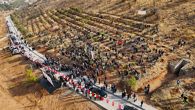 Deprem Şehitleri Hatıra Ormanı Yenileniyor