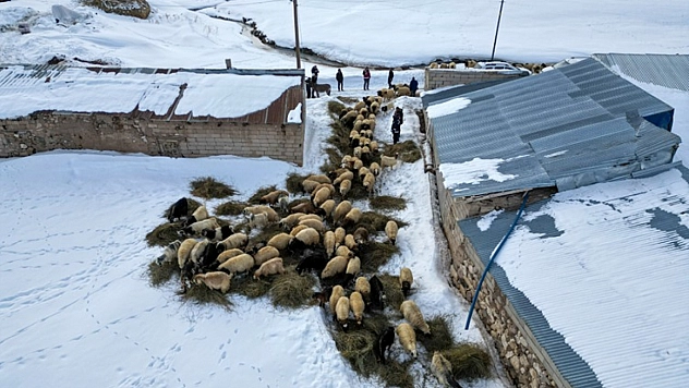 Destek artıyor, hayvancılık gelişiyor