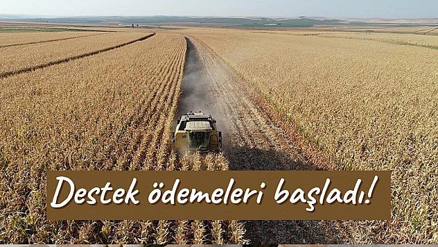 Destek ödemeleri başladı!