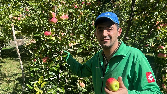 Diğer elmalardan farkı raf ömrü: Aylarca tazeliğini koruyor