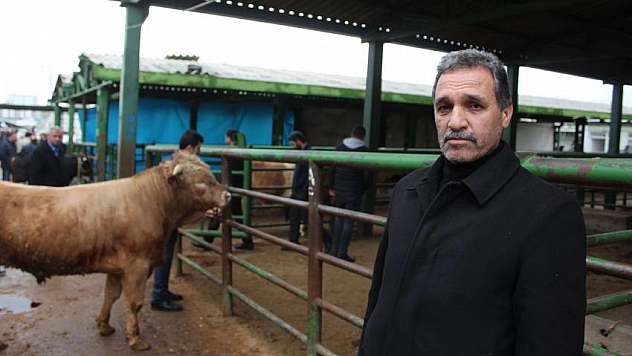 Dişi hayvan üretilmeli