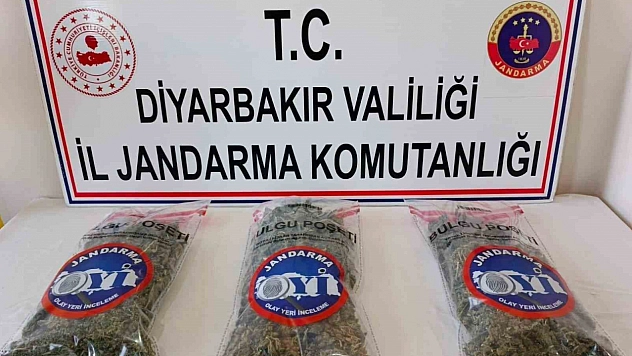 25 kilo esrar ele geçirildi