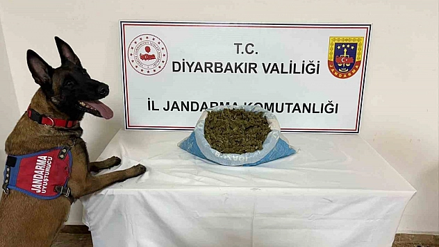 Jandarma'dan uyuşturucuya büyük darbe: 14 gözaltı