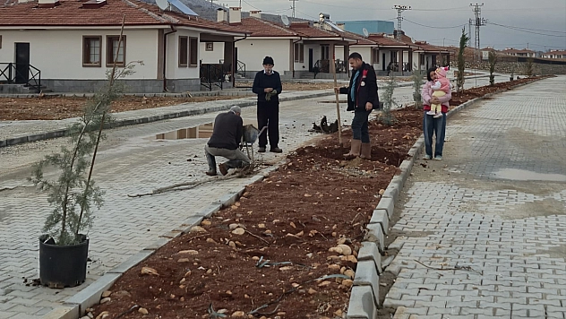 Doğanşehir'de konutlar tamamlandı! Sıra çevre düzenlemesinde…