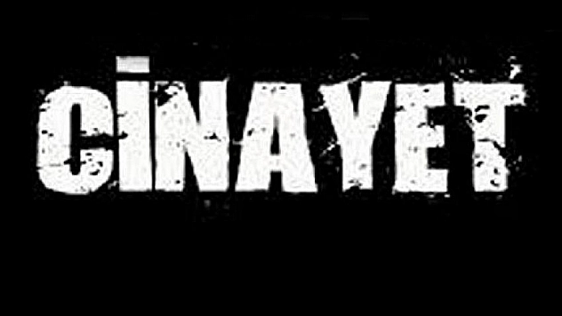 Doğanşehir'de cinayet