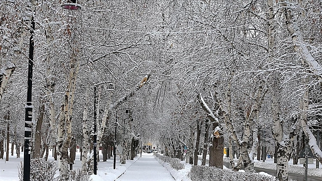Doğuda kar yağışı etkisini sürdürüyor