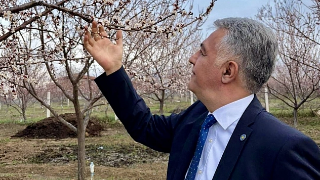 Dolu Malatya'yı vurdu: Çiftçinin emeği dakikalar içinde yok oldu!