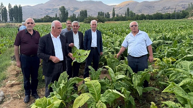 Dolu yağışı tütün üreticilerini vurdu