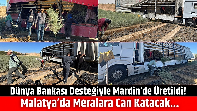 Dünya Bankası Desteğiyle Mardin'de Üretildi! Malatya'da Meralara Can Katacak...