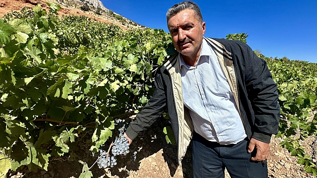 Dünyada dalında kalan tek ürün Malatya'da