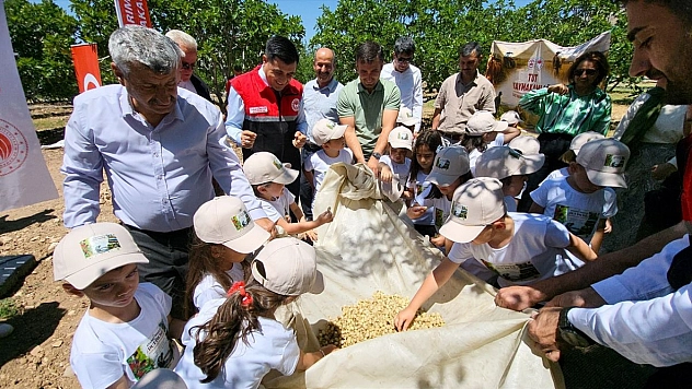 Dut hasadı başladı