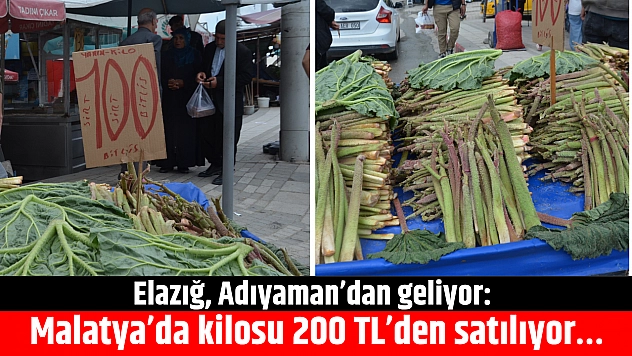Elazığ, Adıyaman'dan geliyor: Malatya'da kilosu 200 TL'den satılıyor….