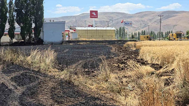 23 dönüm buğday, yanarak kül oldu