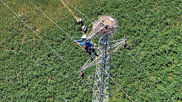 Elazığ, Malatya, Bingöl ve Tunceli'de Örnek Proje: Enerji Hatlarını Yenileniyor
