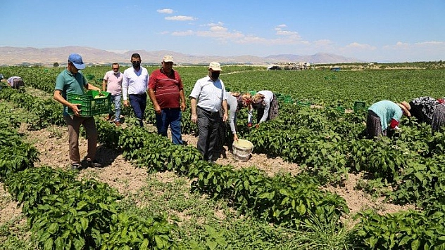 Çiftçilere destek açıklaması