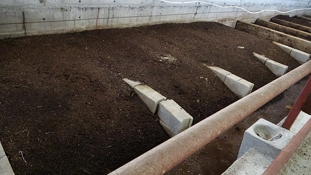 Evinin bahçesinde üretti: Gelir kapısı haline geldi…