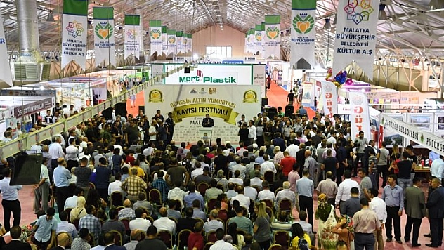Festival başladı